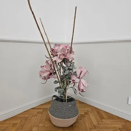 Sejmowa Apartmán Těšín