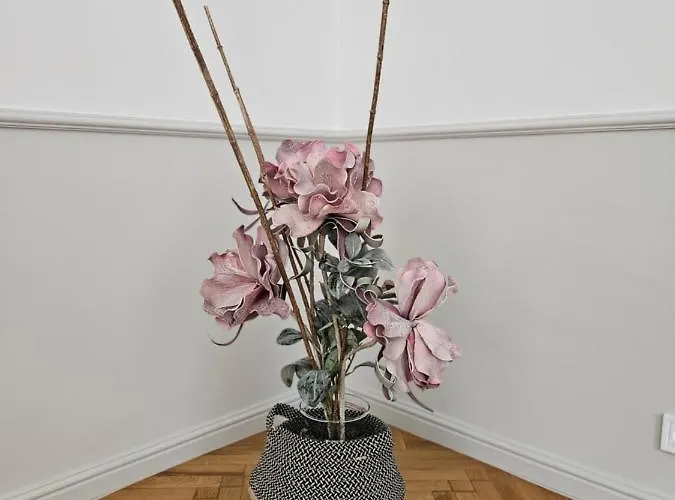 Sejmowa דירה צ'שין