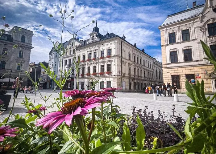 Sejmowa דירה צ'שין